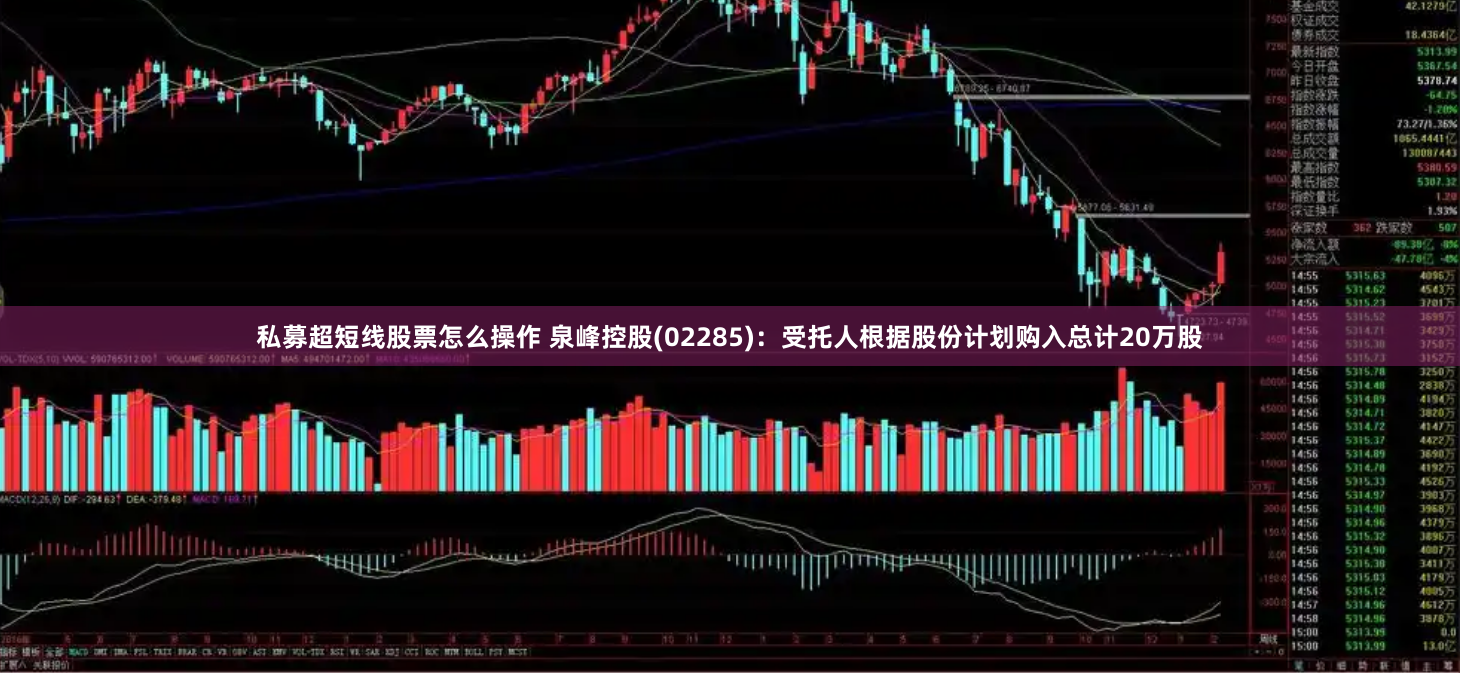 私募超短线股票怎么操作 泉峰控股(02285)：受托人根据股份计划购入总计20万股